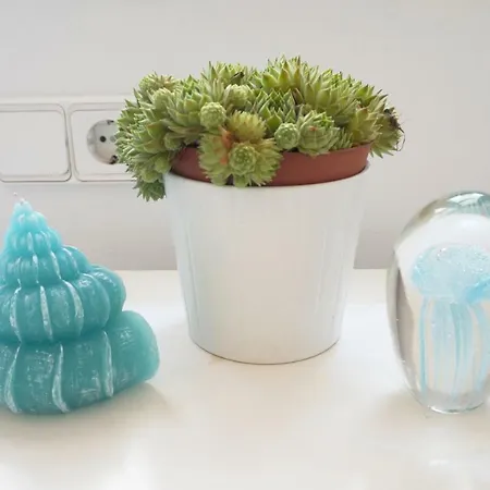 & Apartment